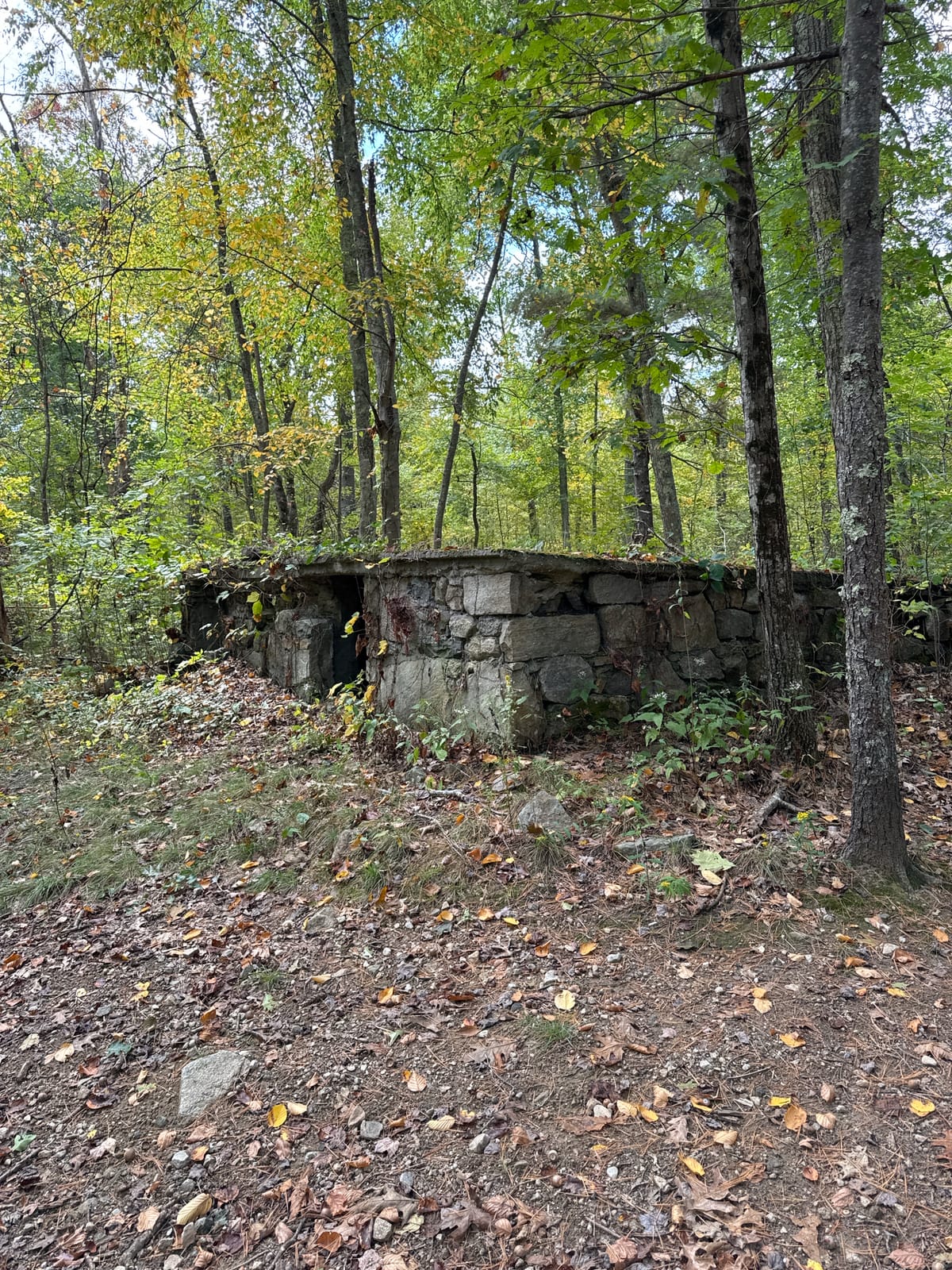 US-6984 Black Hut WMA