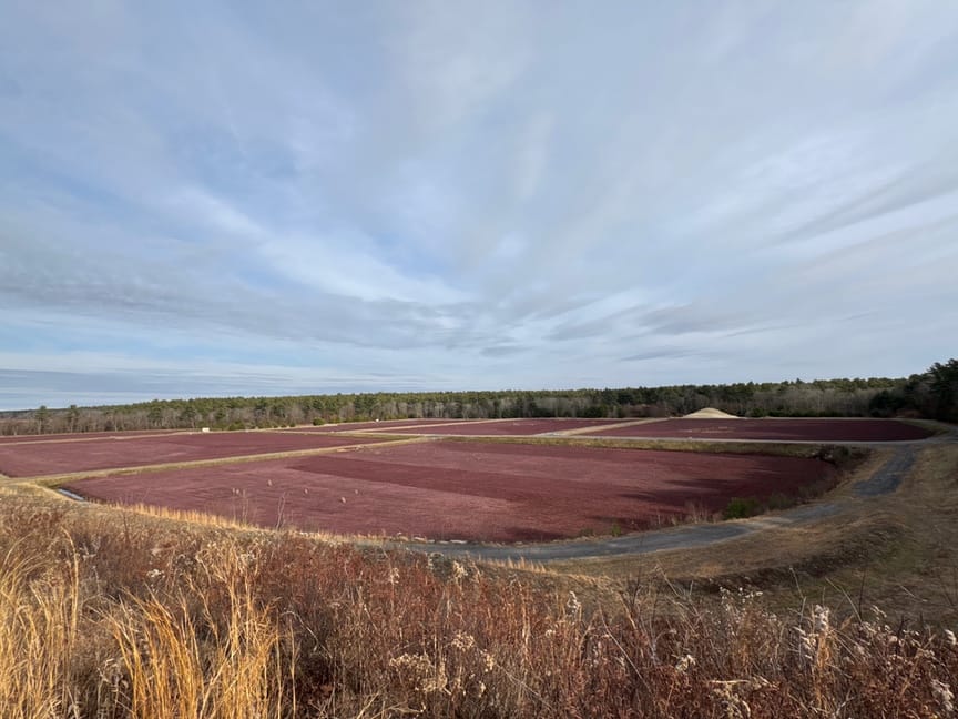 US-11678 Mill Brook Bogs WMA